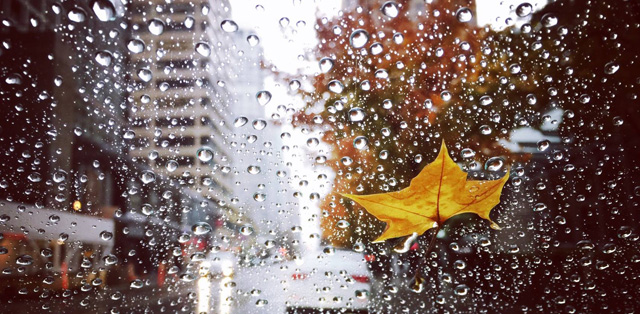 雨雪天气搬家